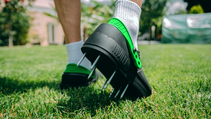Nivilli Air Aerator Shoes