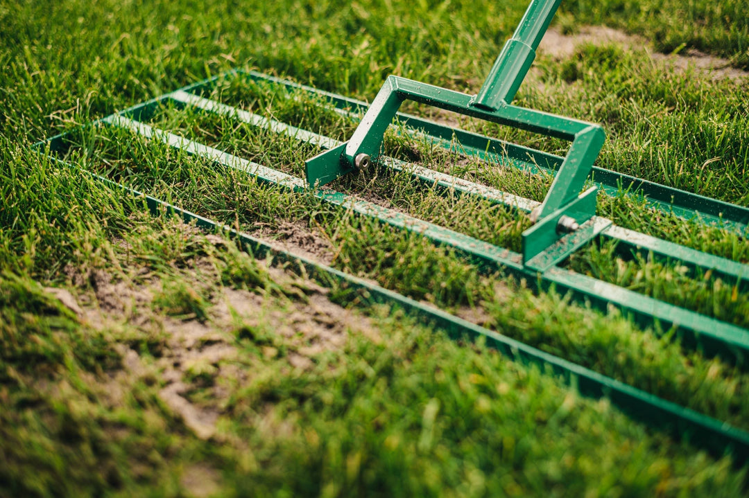 Rasen sanden: Warum, womit und wie du es richtig machst